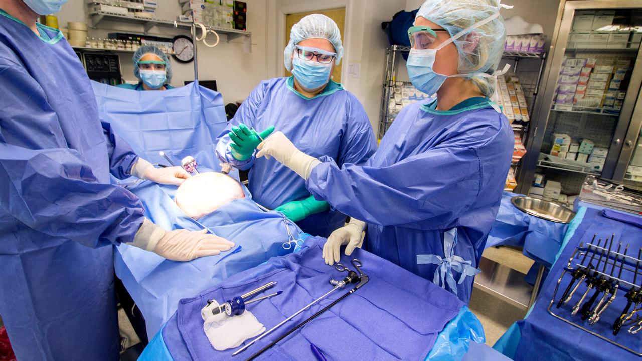 Accredited surgical tech programs near me with clinical rotations